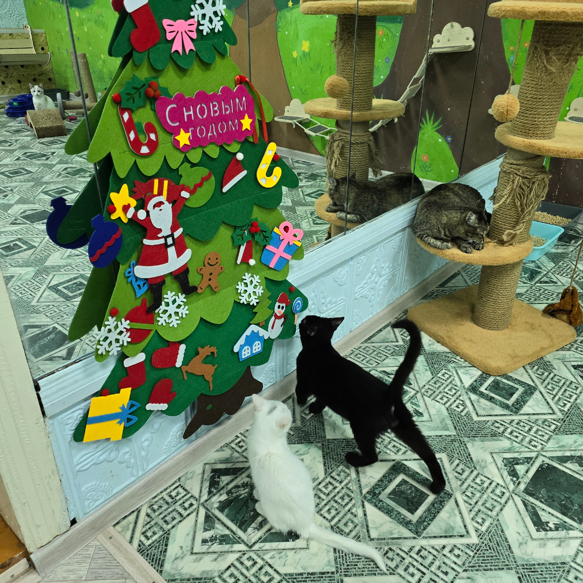  смело изучает праздничные украшения