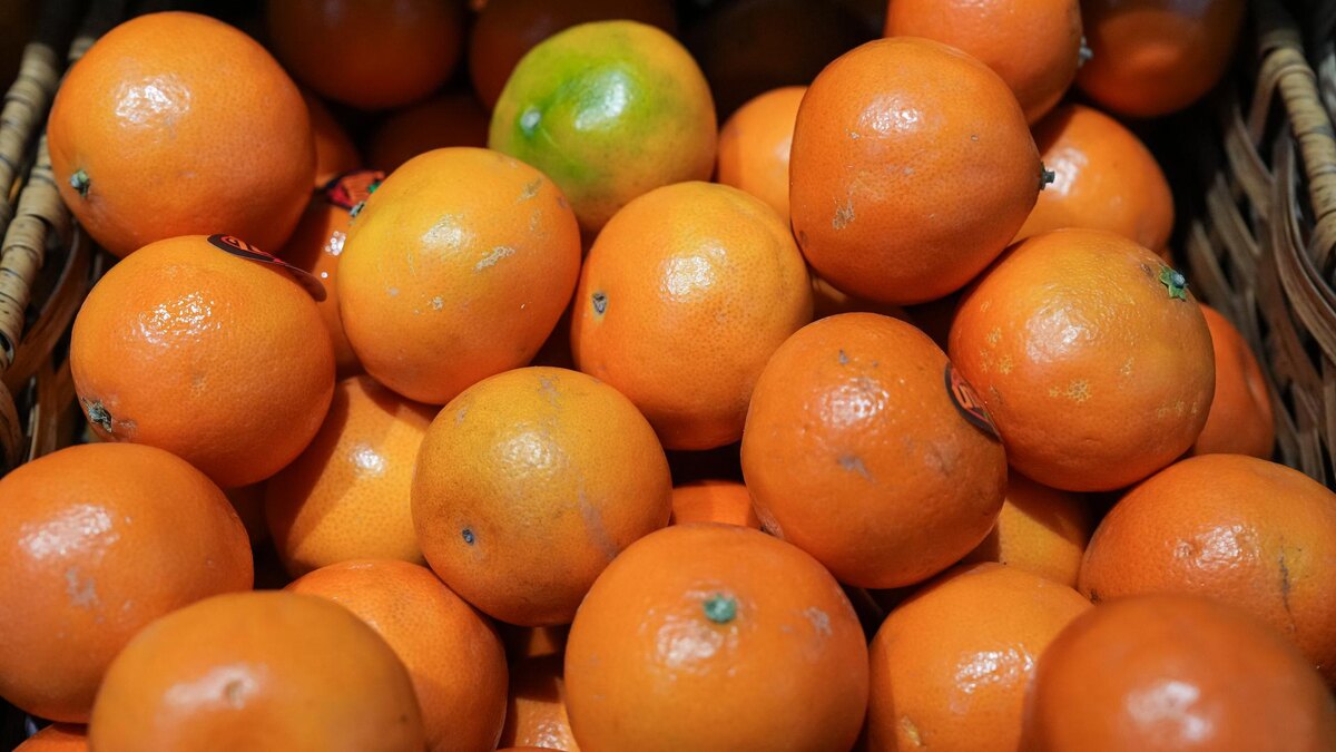    Фото: ИЗВЕСТИЯ/Дмитрий Коротаев