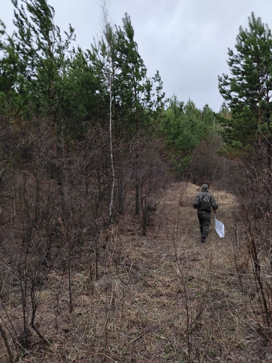 Для подсчета клещей использовалась методика «кошения»
Фото предоставил Максим Носков