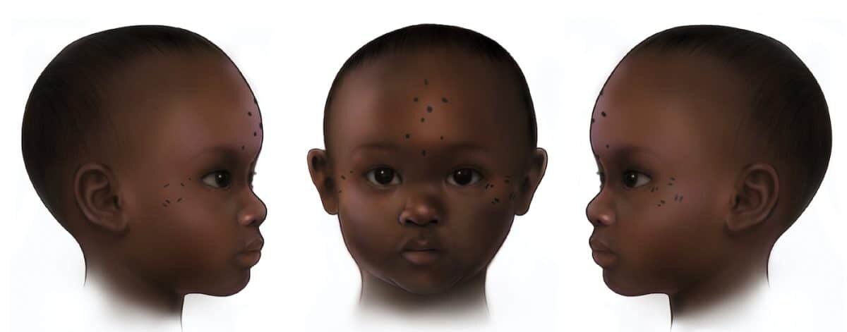    Mary Nguyen / UMSL; Anne Austin et al. / PNAS (2025)