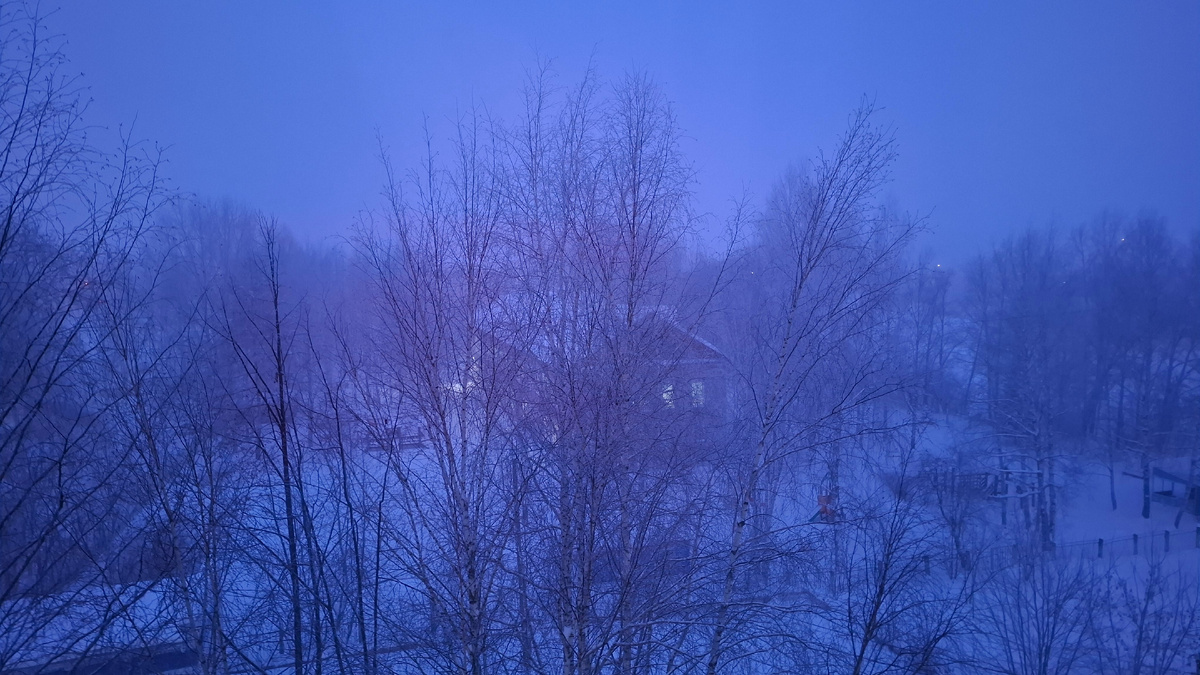 Такое морозное туманное утро