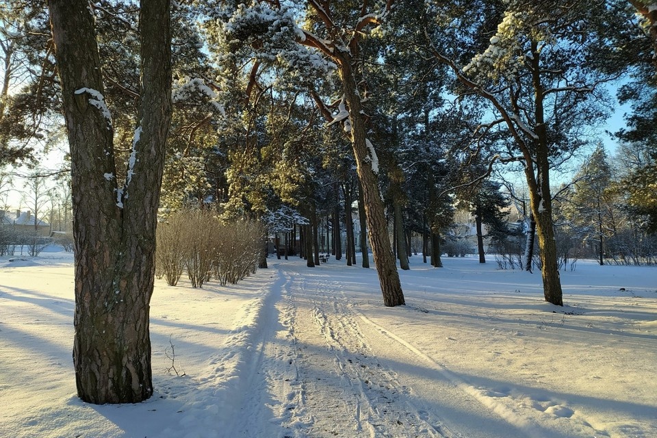   Московский планетарий: Световой день начнет расти уже с 26 декабря GLOBAL LOOK PRESS