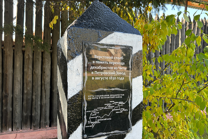    Анастасия Забелина/ТАСС