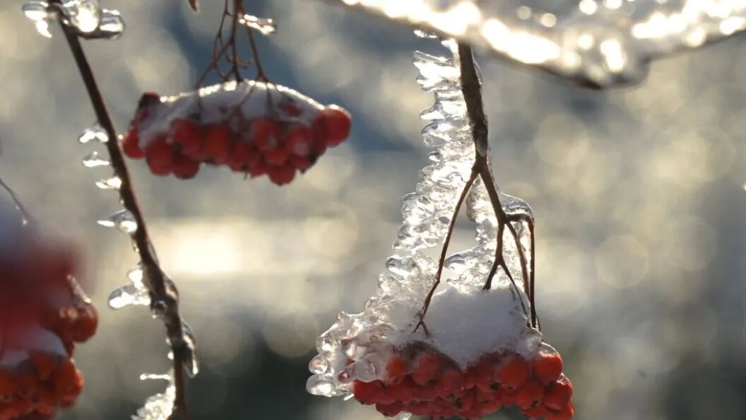    Олег Рукавицын/"Царьград"