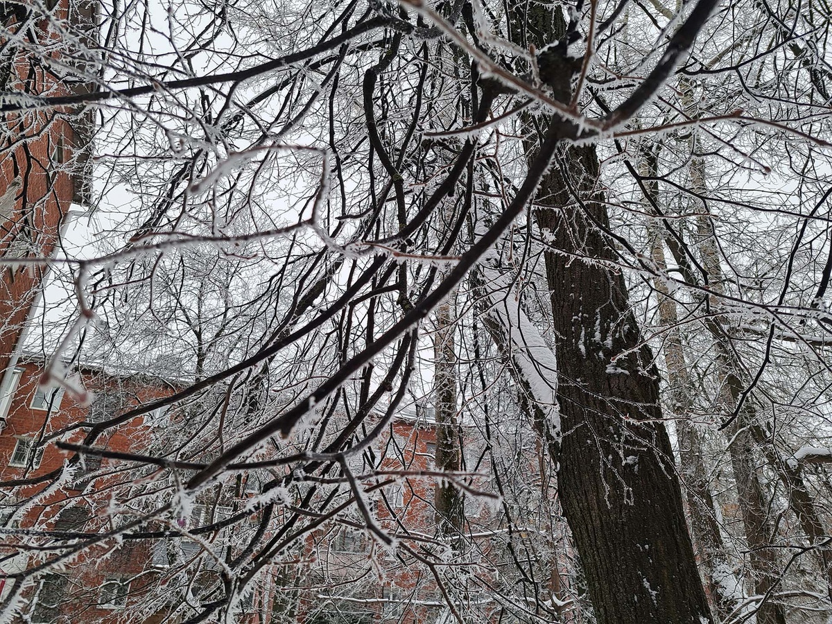 Приморье готовится к усилению морозов в конце недели.  Фото: Фото: ФедералПресс / Вера Романескул