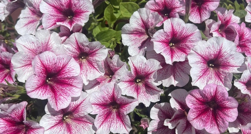    фото из архива редакции