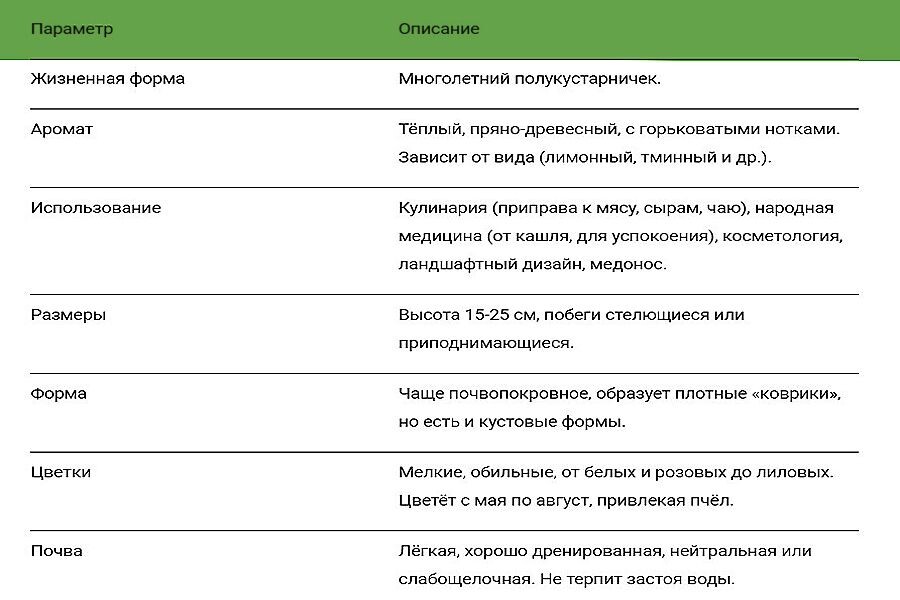 Характеристика чабреца - таблица.