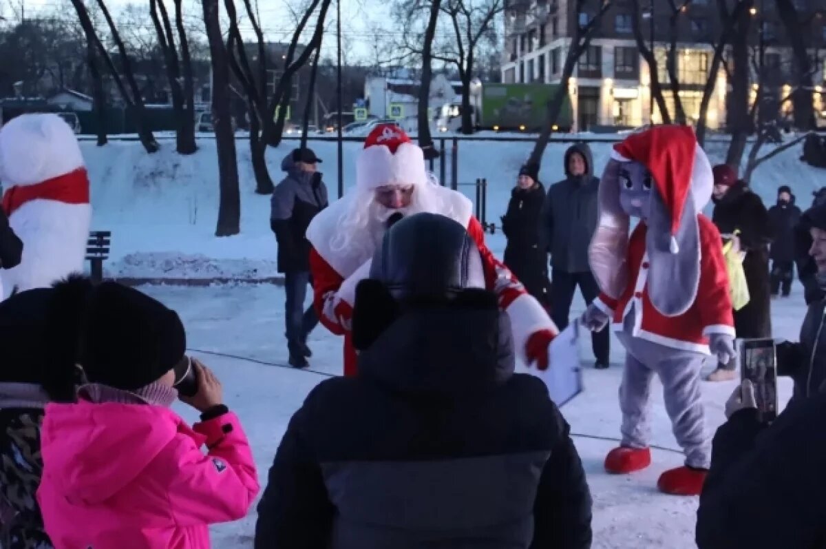    Амурский бульвар превратился в зимнюю сказку с горками и елкой в Хабаровске