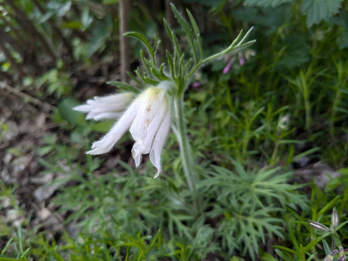 Один из прострелов тогда все-таки выжил