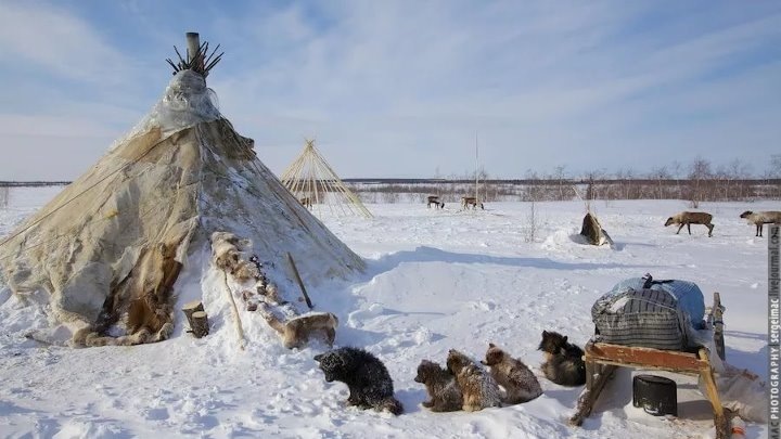 ВАХТА ПОД ПОЛЯРНЫМ НЕБОМ