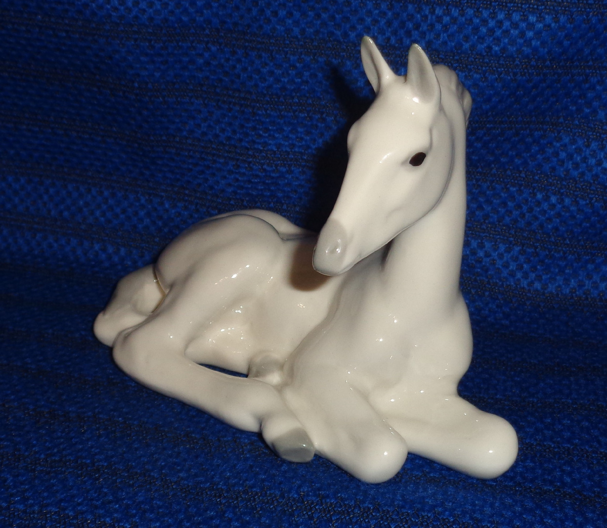 Фото автора. "Жеребёнок", ЛФЗ.