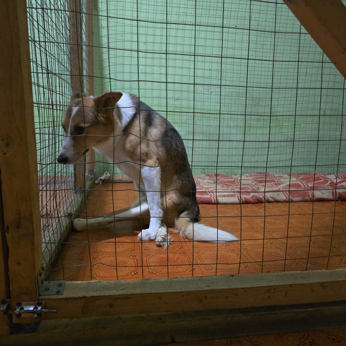 сидит в углу, отвернулся от мира