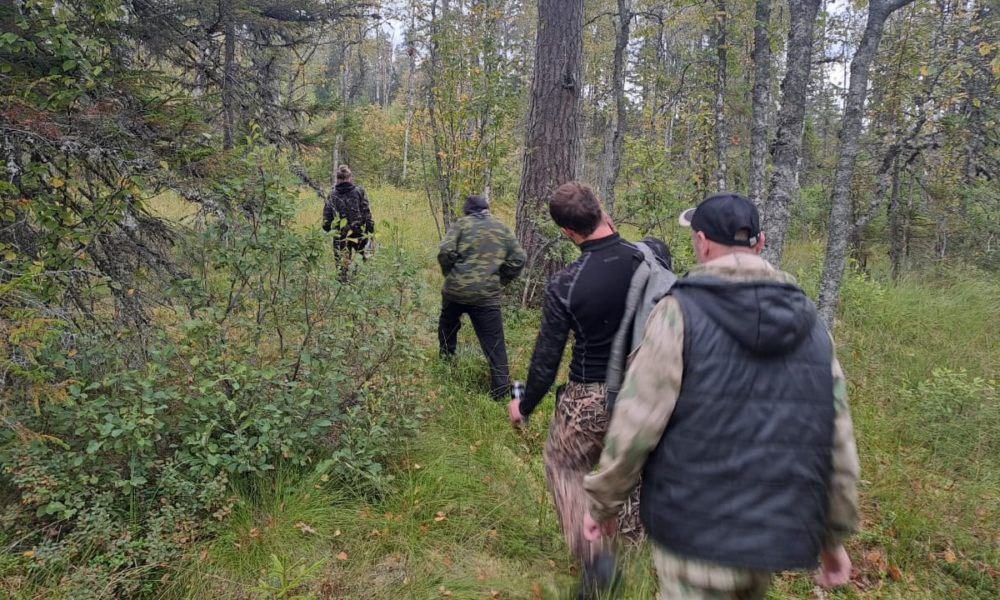 Картинка из интернета для иллюстрации