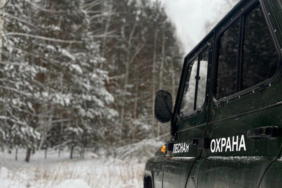    Фото: пресс-служба правительства Нижегородской области Иван Воробьев