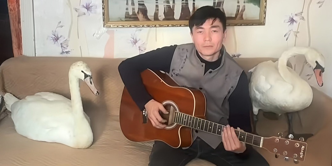 «Без них стало пусто»: от холодной смерти пару лебедей спас житель Казахстана и стал всеобщим героем