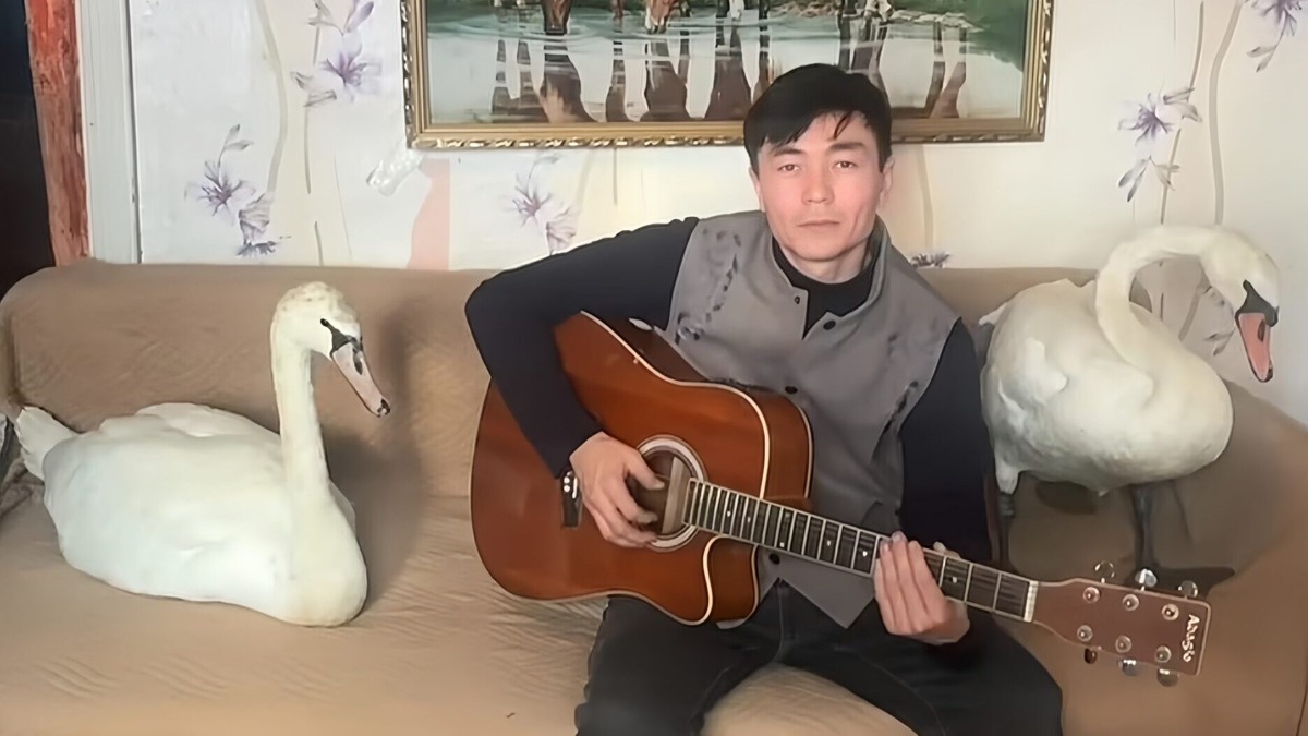    «Прощаясь, чуть-чуть поплакал»: скотовод спас пару лебедей от холодной смерти и стал звездой сети