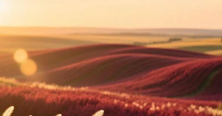    Фото: Медведева Анна, AgroXXI.ru