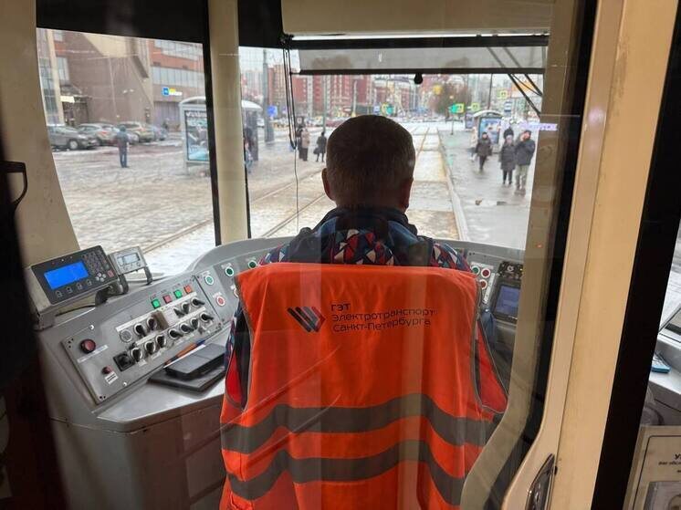     Фото: Архив МК в Питере.