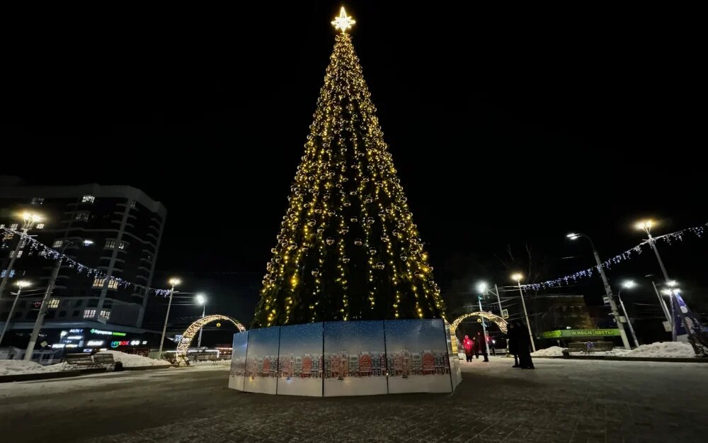    Фото: "Брянские новости"