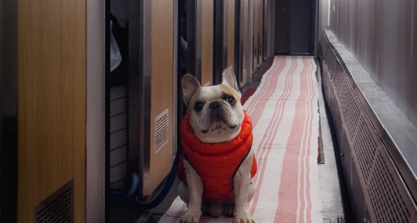    Фото Анастасии Дмитриевой