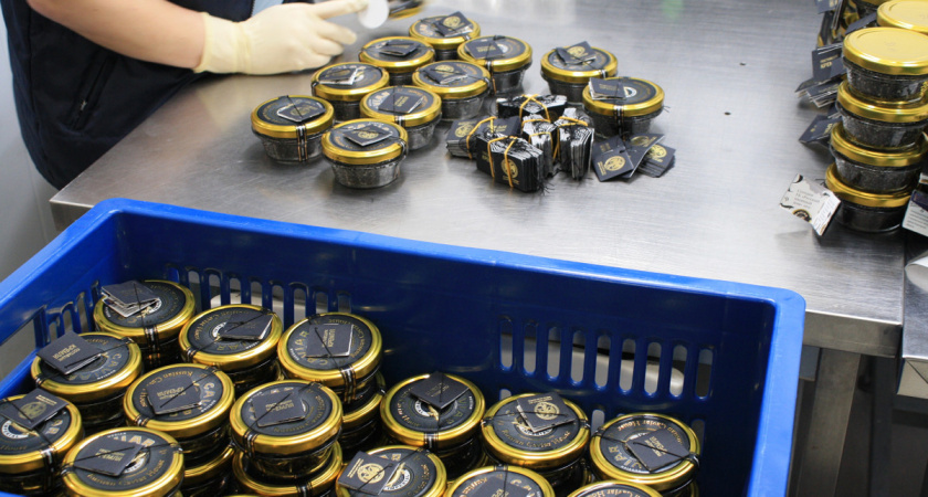    Фото: пресс-служба Северо-Западного межрегионального управления Россельхознадзора