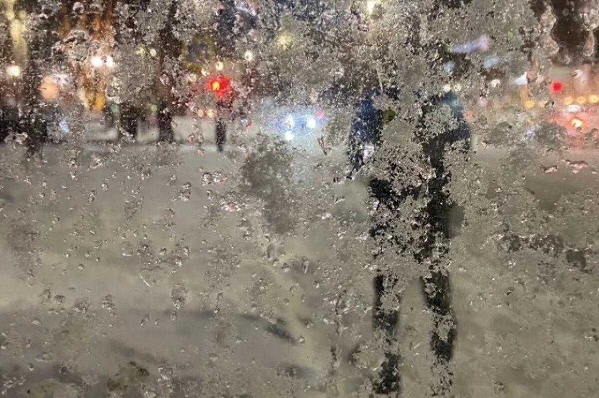    Жителей Алтая предупредили о сильных метелях