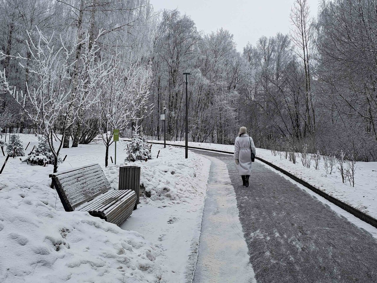 Световой день в России начнет заметно расти после 26 декабря.  Фото: Фото: ФедералПресс / Вера Романескул