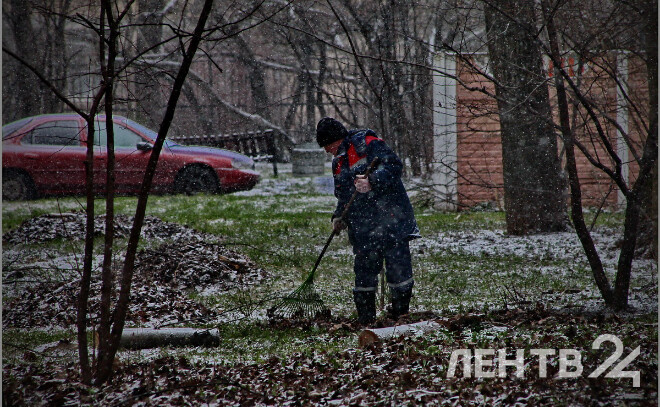    © Анастасия Илюшина / ЛенТВ24, архивное фото