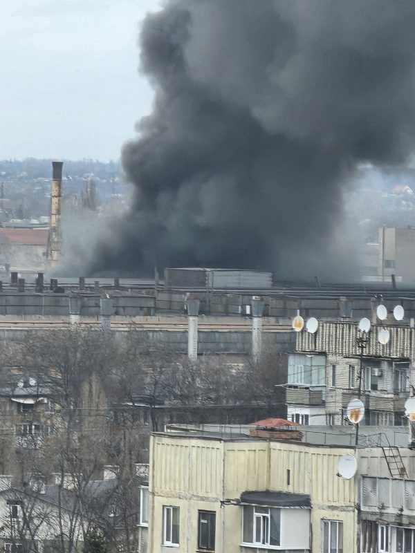    Фото: соцсети