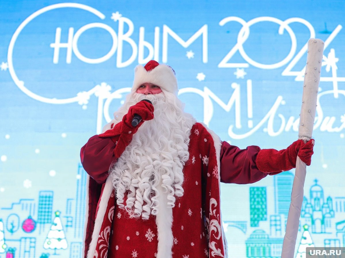     Ребенка в выходные поздравит персональный Дед Мороз (архивное фото)