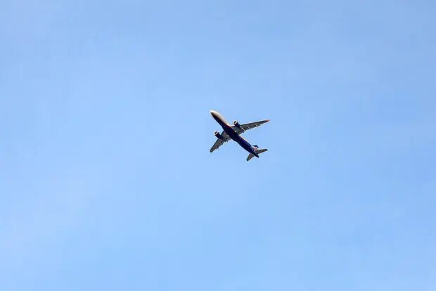    Фото: lenta.ru Олеся Шмелева