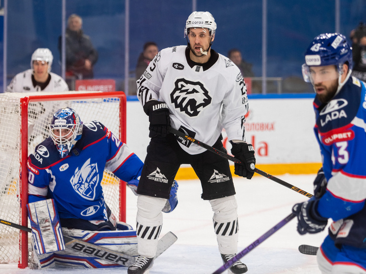     Фото: Андрей Холмов/ХК «Лада»