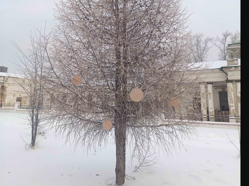     Фото: Администрация Каменска-Уральского