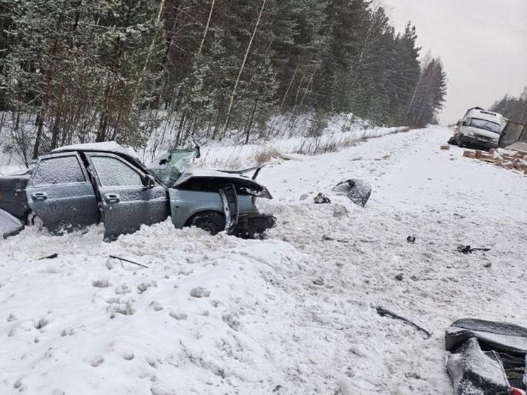     Фото: t.me/gibdd_rme