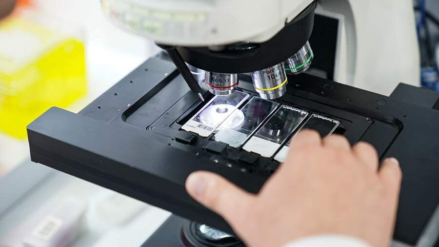    Фото: ИЗВЕСТИЯ/Сергей Лантюхов