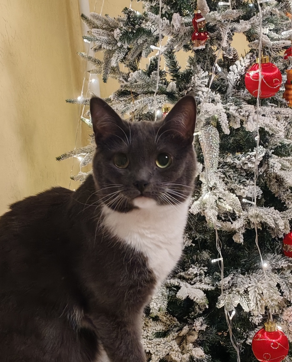 Будьте счастливы! 