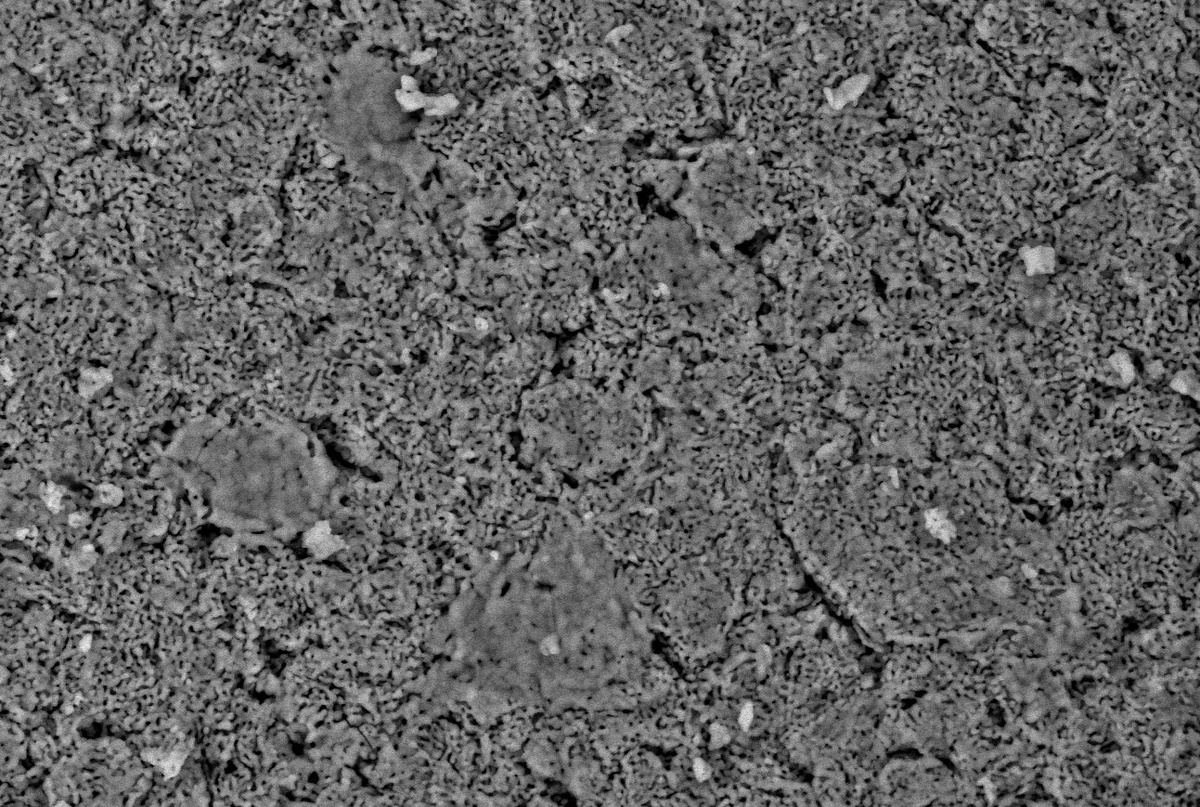    Образец пористого фосфата магния, полученного из струвита / © Пресс-служба ПНИПУ