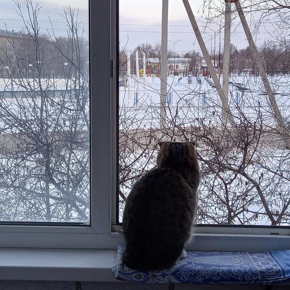 Строго дышит свежим воздухом