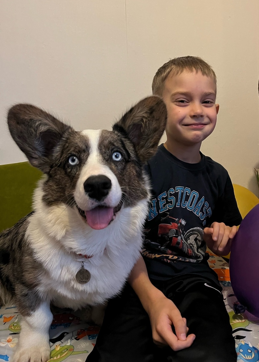 Мой сын Миша.