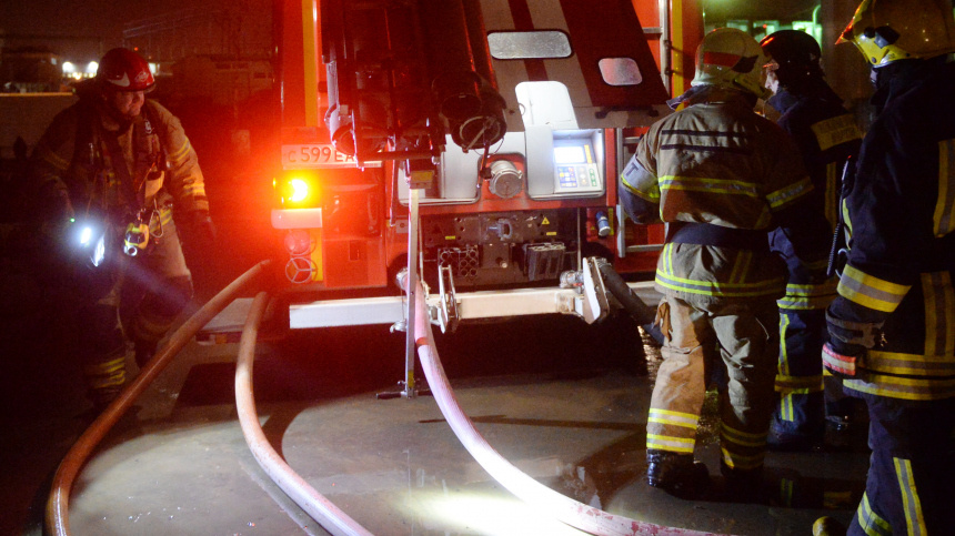    Фото: © РИА Новости/Кирилл Каллиников