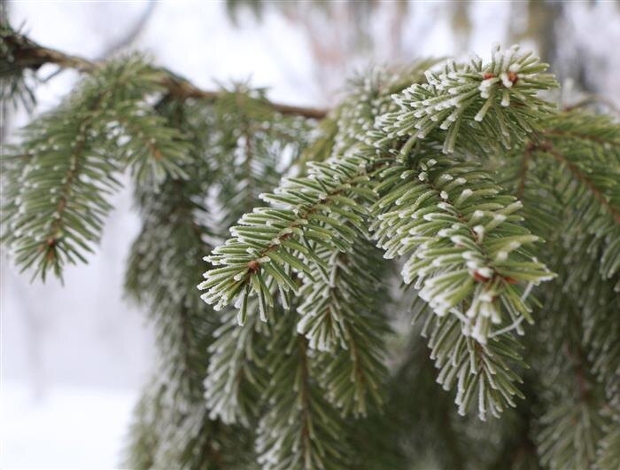    ФОТО: Белова Александра