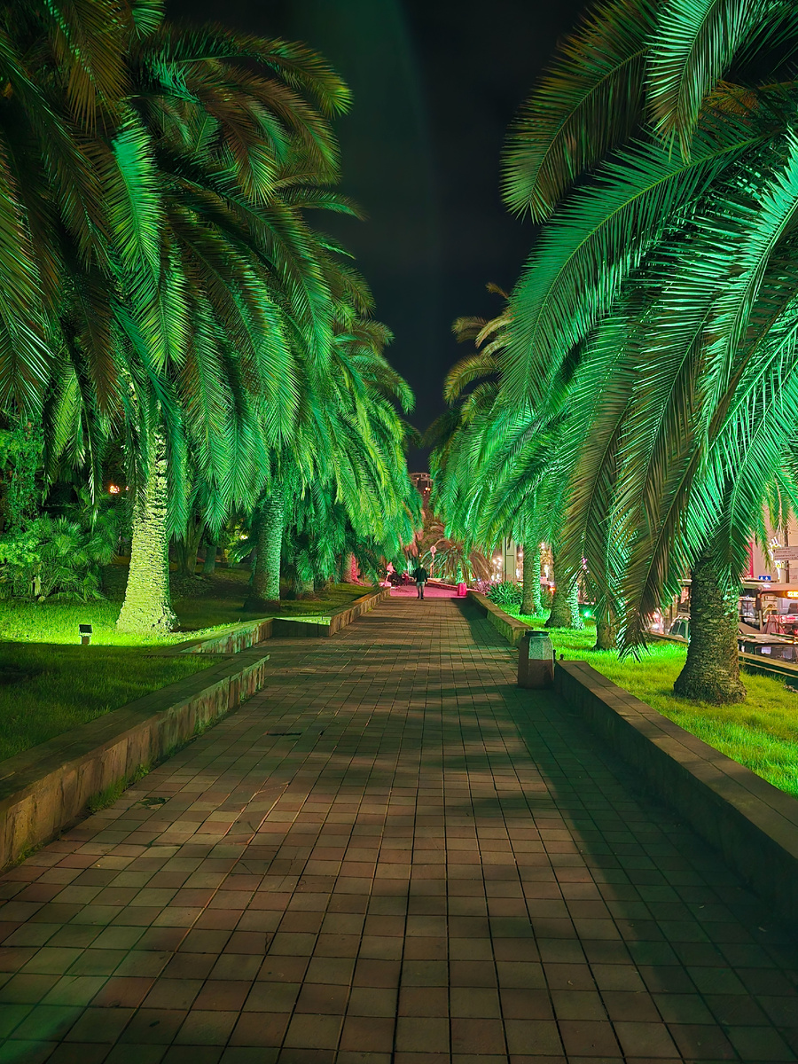 Улица Горького