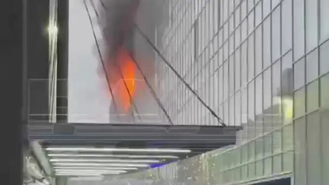    Фото: vm.ru Оливия Ильинская