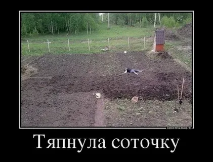 И такого - полный интернет