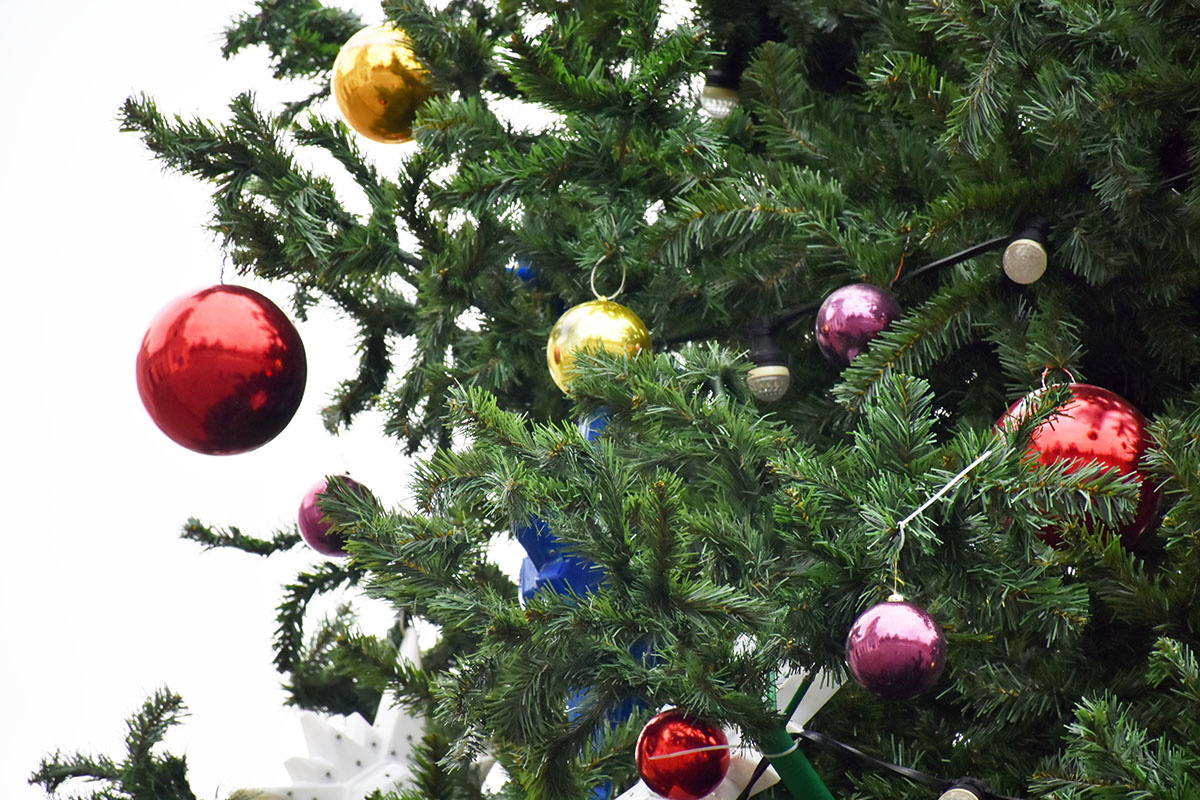 Фото: ИА "Регион 71"