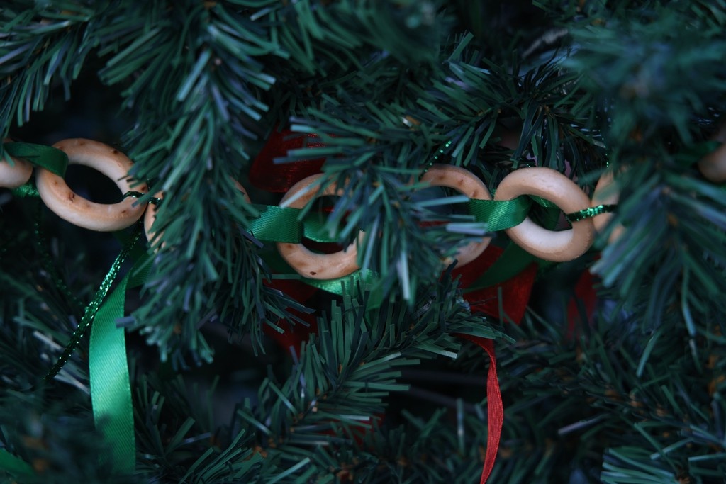    Фото © Анастасия Романова / Абзац