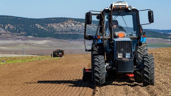    © РИА Новости Крым . Дмитрий Макеев