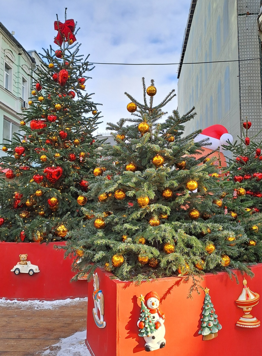 Зима в Москве. Елки с золотыми и красными шарами.