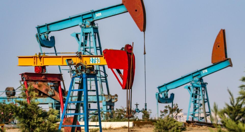    Lantyukhov Sergey/news.ru / www.globallookpress.com