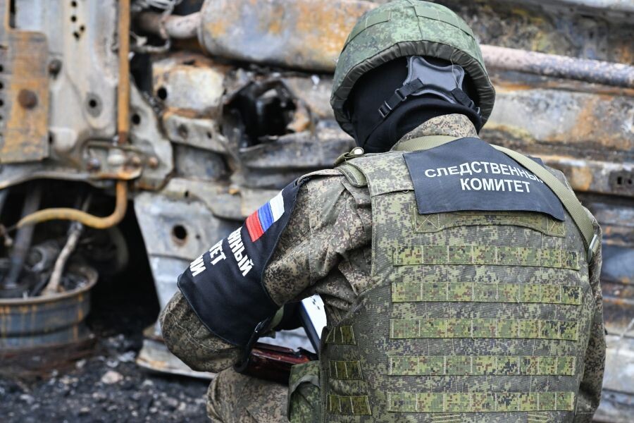     / Источник: © Константин Михальчевский/РИА Новости